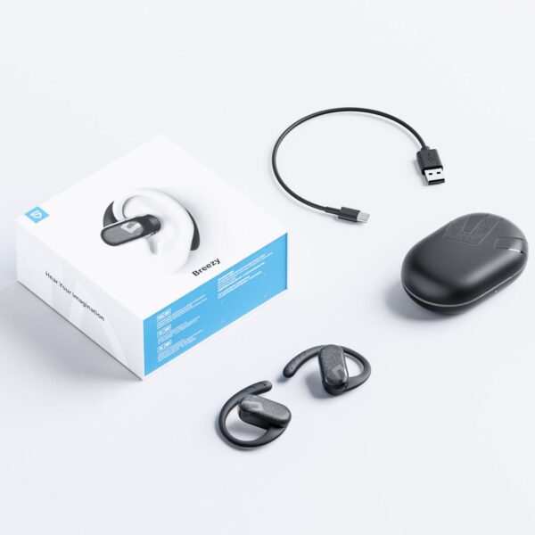 Ear-hook style earpiece
