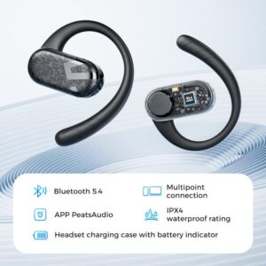 Ear-hook style earpiece