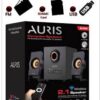 Auris 2.1 Wireless Speaker system